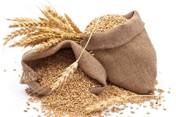Wheat-Grains-Farmers-Fresh